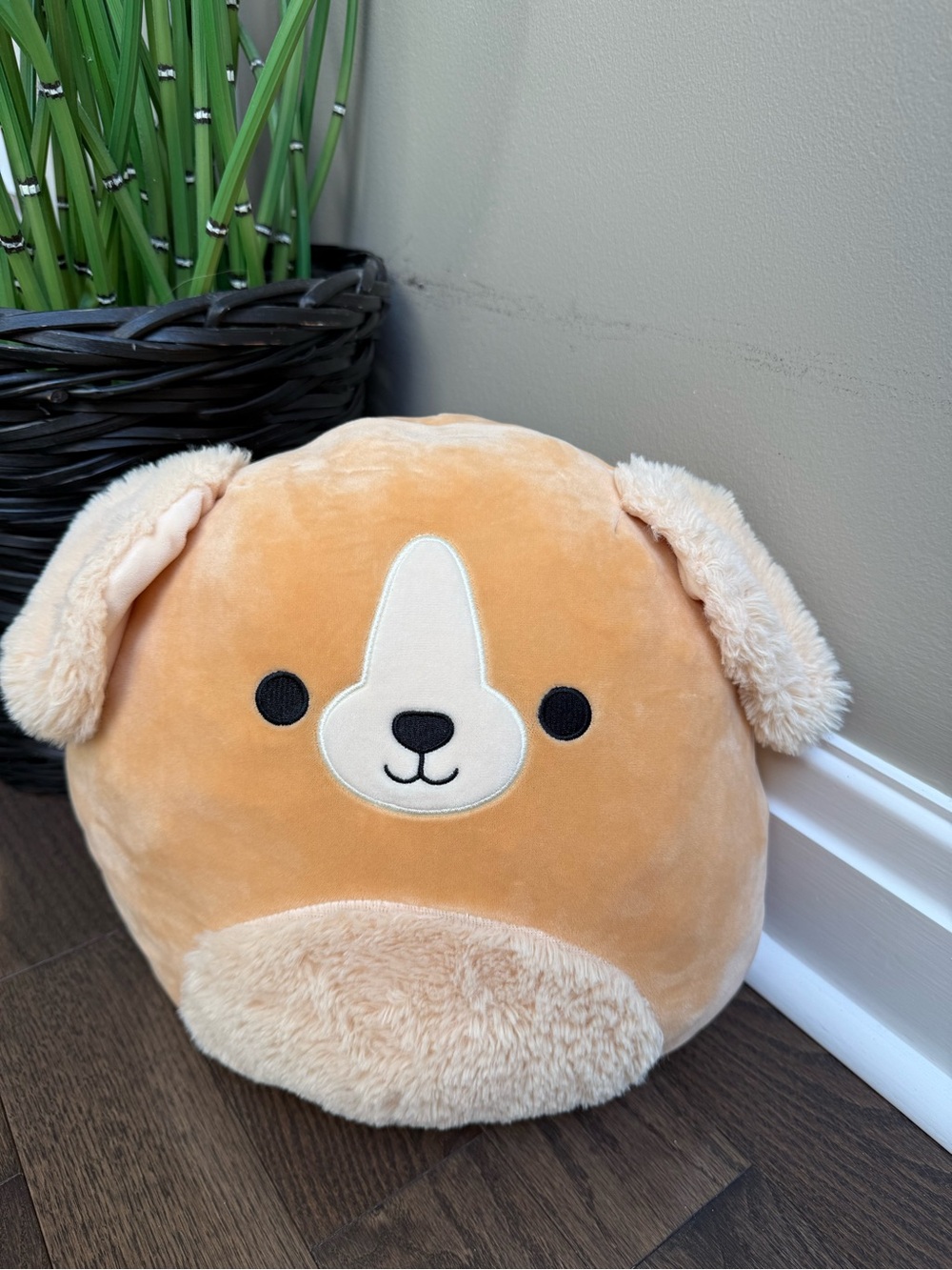 NWT Squishmallows Stevon Dog Golden Retriever Puppy Squishmallow Toy Plush Gift